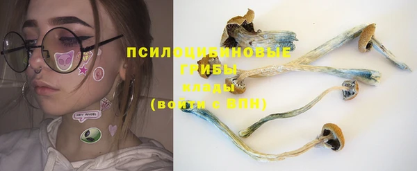 PSILOCYBIN Осташков