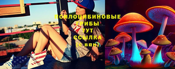 PSILOCYBIN Осташков
