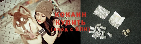 тгк Осинники