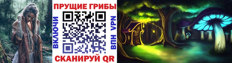 Галлюциногенные грибы Cubensis  Дербент 