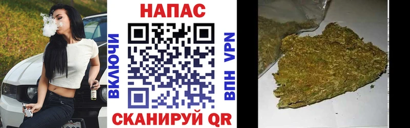 Бошки марихуана конопля Дербент